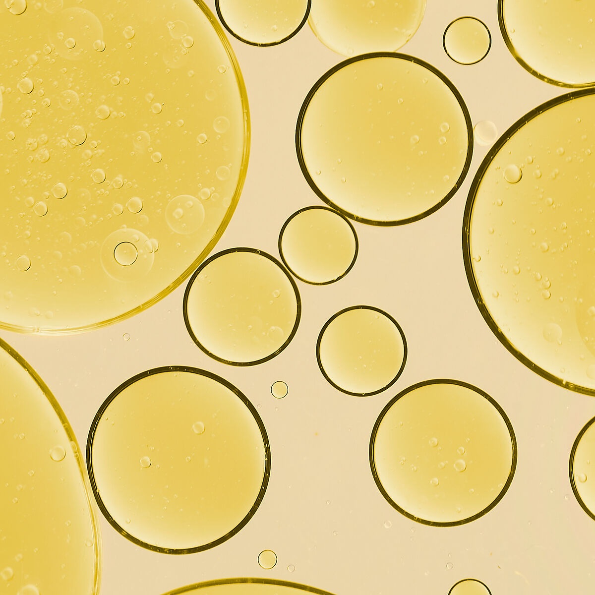Melvita Olio di Nocciolo di Albicocca Bio 50 ml - Luminosità e Cura per Viso, Corpo & Capelli, Ricco di Vitamine A & E