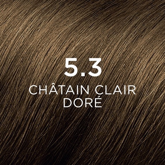 PHYTO Phytocolor 5.3 Castano Chiaro Dorato - Colorazione Permanente Senza Ammoniaca con Pigmenti Vegetali