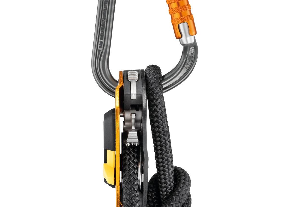 Petzl William Ball-Lock - Moschettone in Alluminio A Forma di Pera con Sistema di Bloccaggio Automatico, Colore Grigio