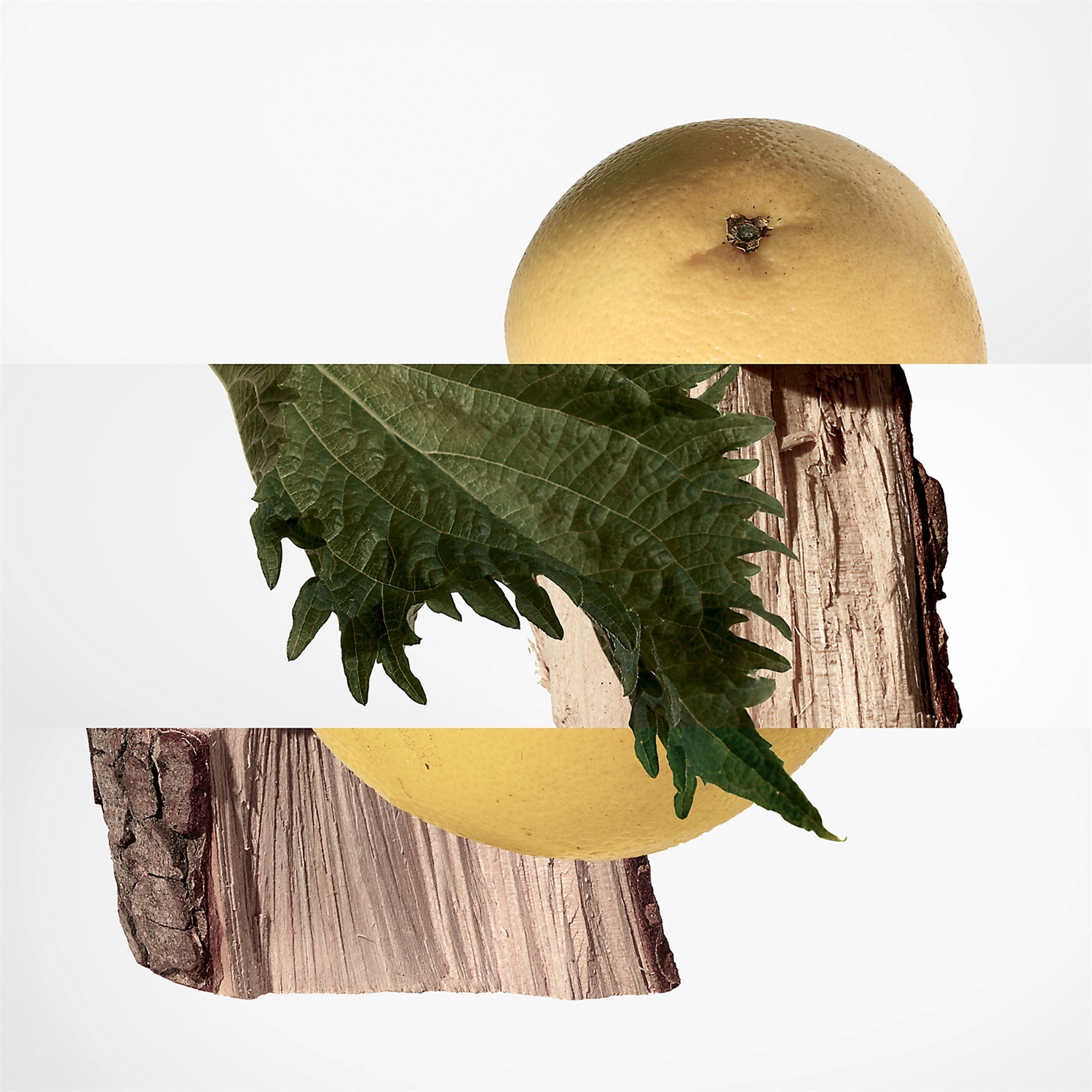 Hermès Terre d'Hermès Parfum 200 ml - Eau de Parfum Uomo con Note Legnose, Agrumate e Speziate