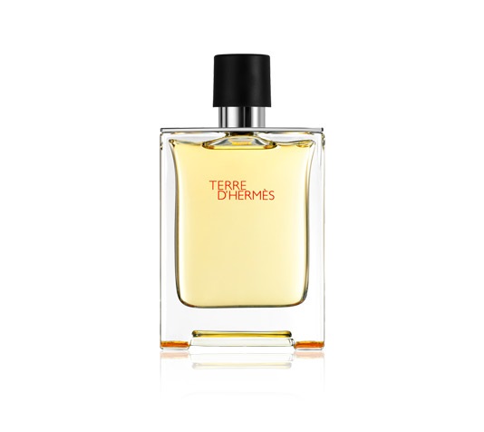 Hermès Terre d'Hermès Eau de Toilette Uomo 100 ml - Fragranza Agrumata e Legnosa