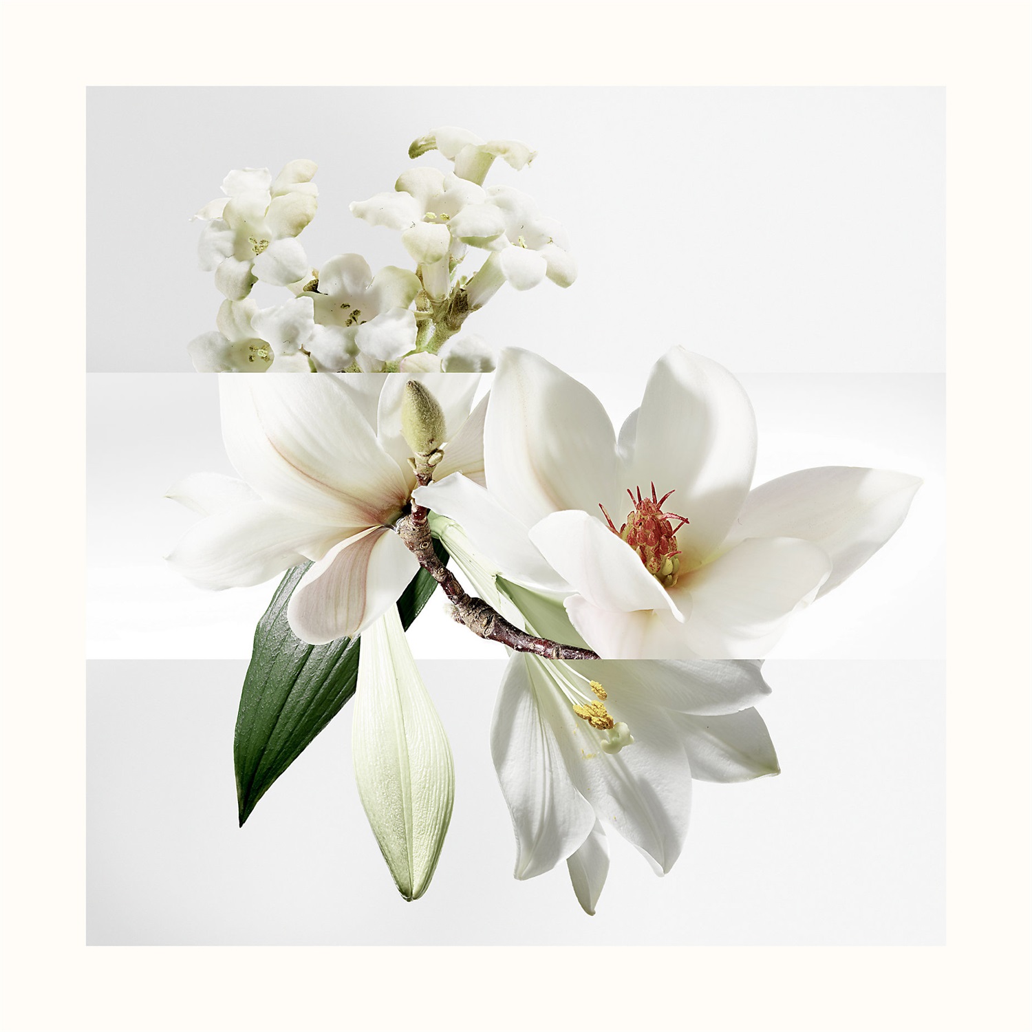 Hermès Un Jardin sur la Lagune Eau de Toilette Unisex 50ml - Fragranza Floreale e Legnosa con Note di Magnolia e Giglio