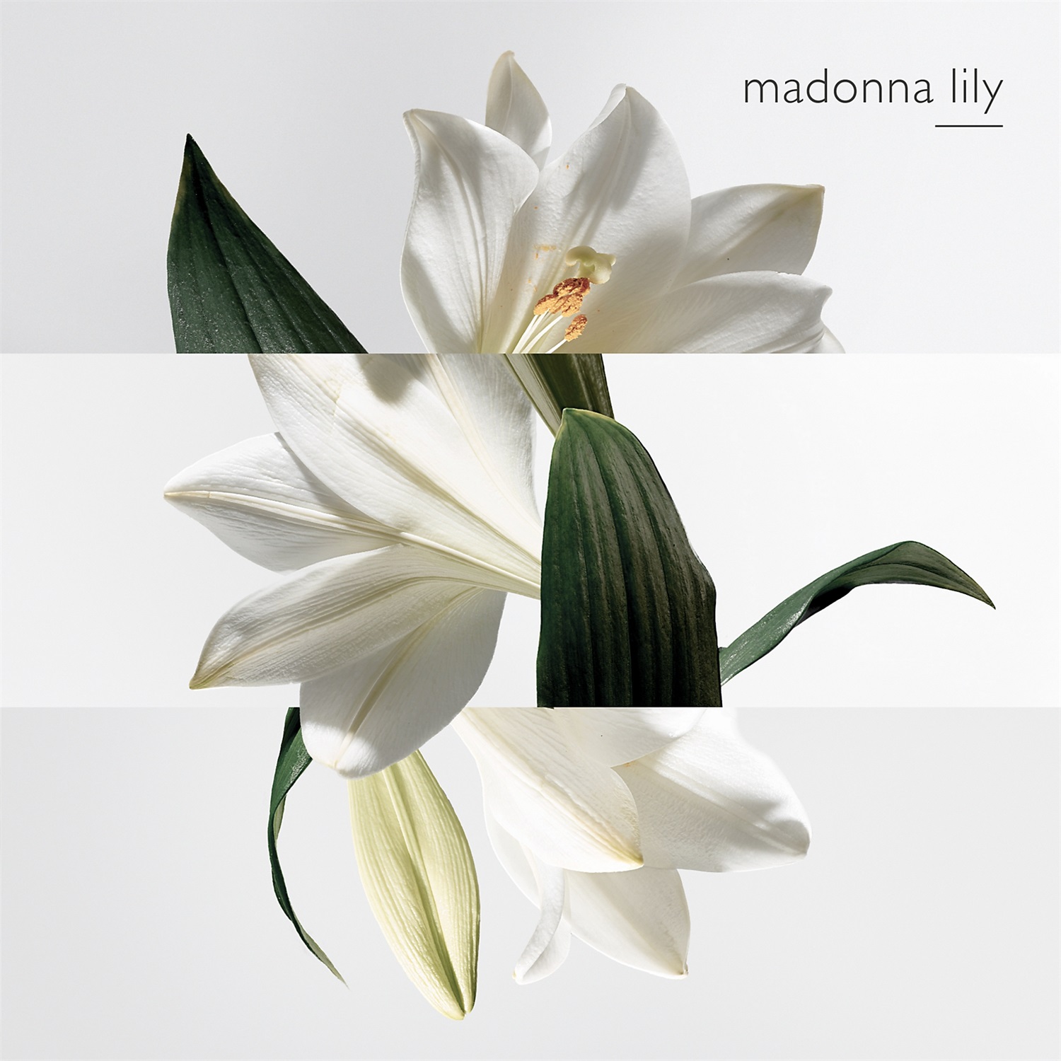 Hermès Un Jardin sur la Lagune Eau de Toilette Unisex 100 ml - Fragranza Fiorita e Legnosa con Note di Magnolia e Giglio