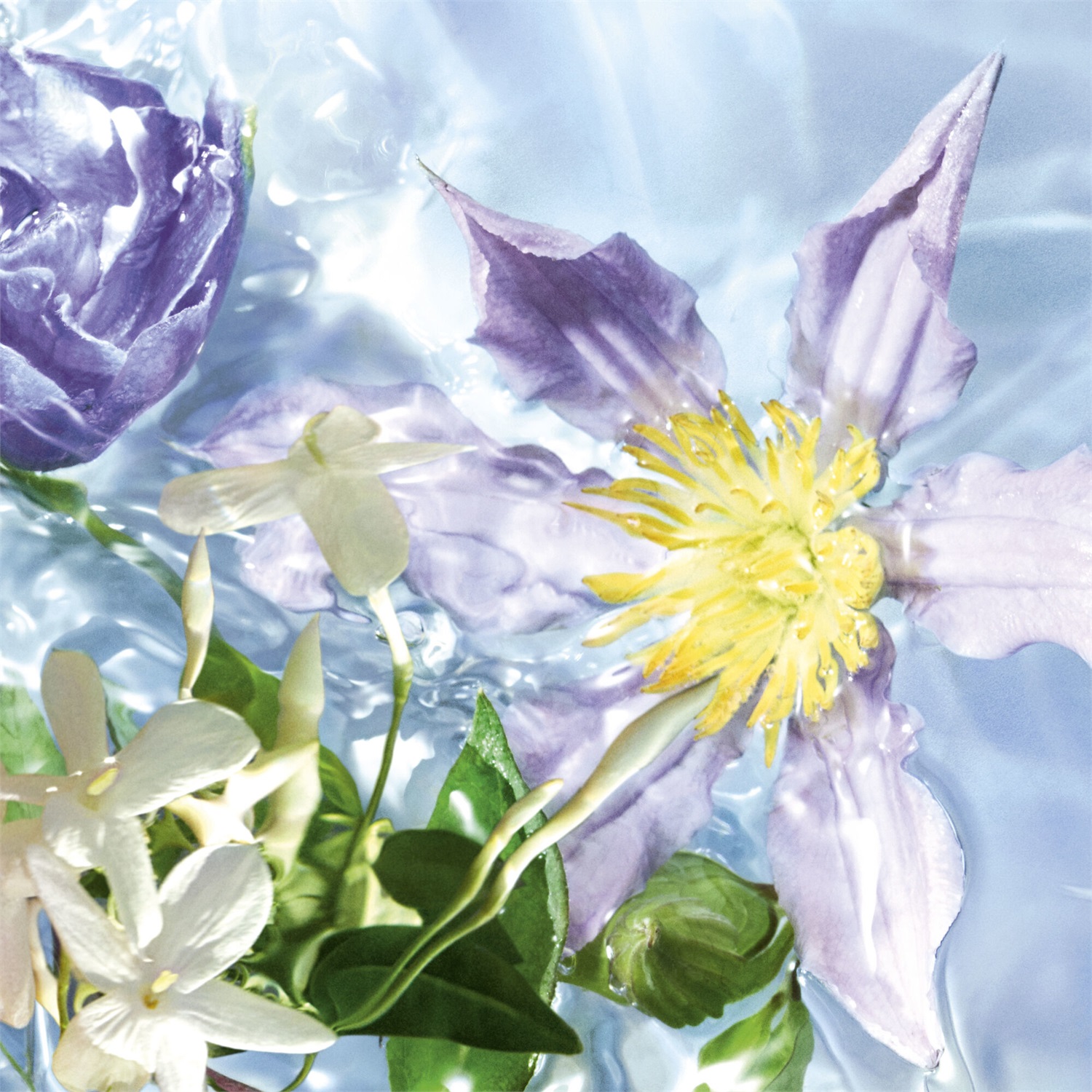 Guerlain Aqua Allegoria Flora Salvaggia Eau de Toilette Donna 75 ml - Profumo Floreale Fresco con Note di Melone e Gelsomino