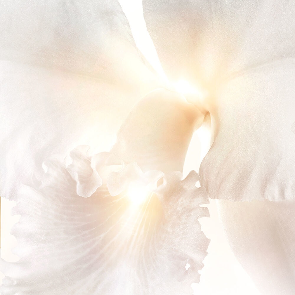 Guerlain Orchidée Impériale Brightening Le Sérum Lumière Yeux 15ml - Siero Occhi Illuminante, Antirughe, Antiocchiaie, Levigante e Rigenerante