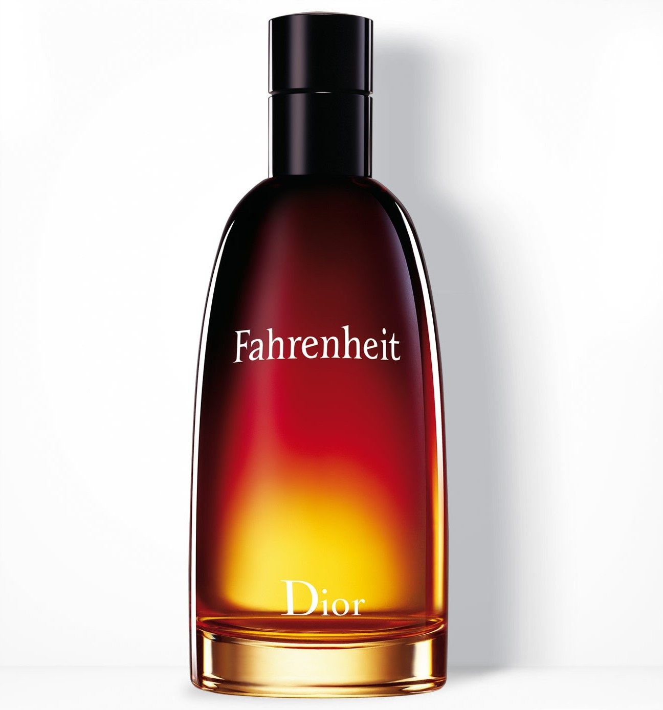 Dior Fahrenheit Eau De Toilette 100 ml