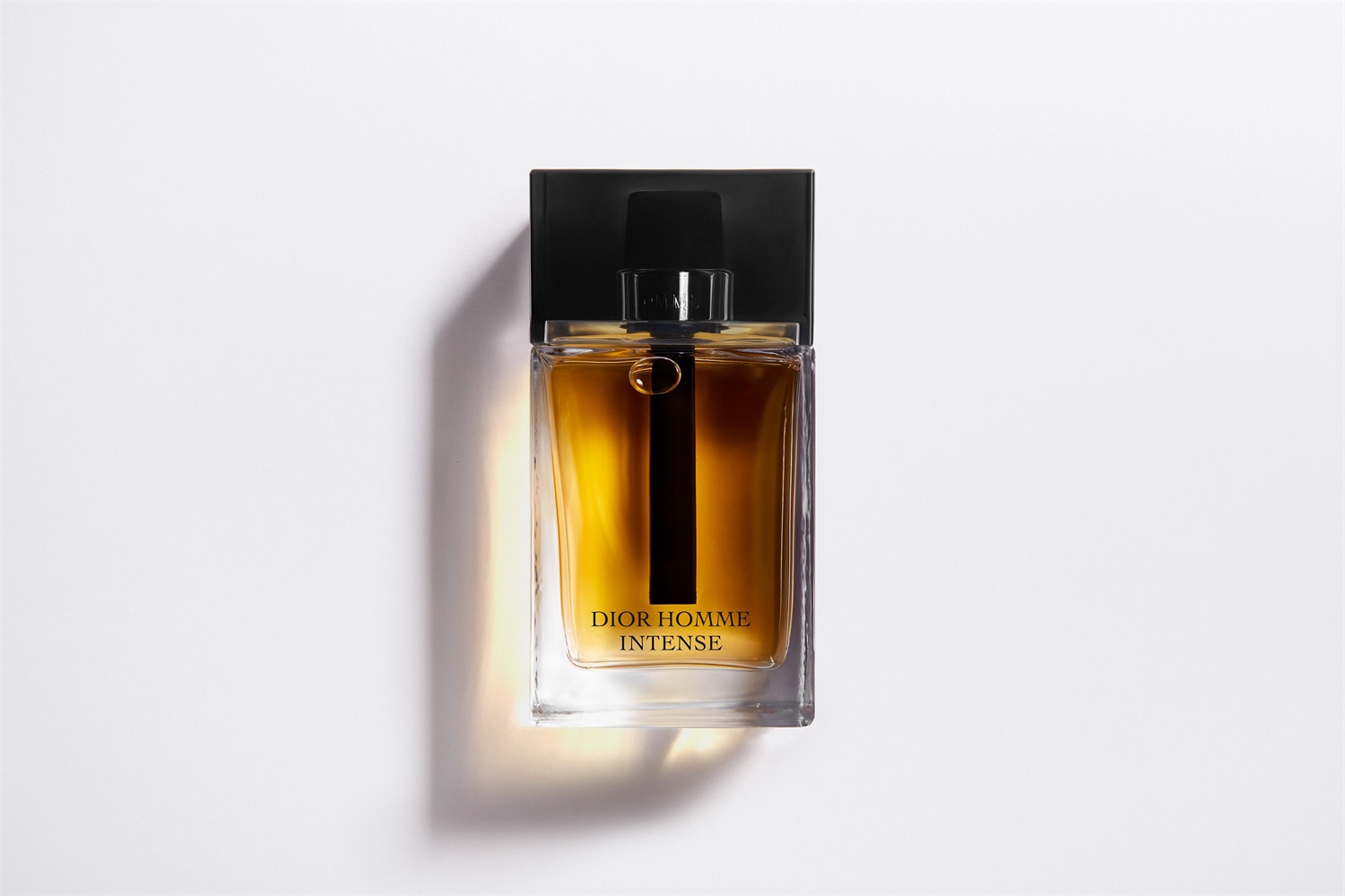 Dior Homme Intense - Eau de Parfum 50 ml con note di iris, ambra e legno