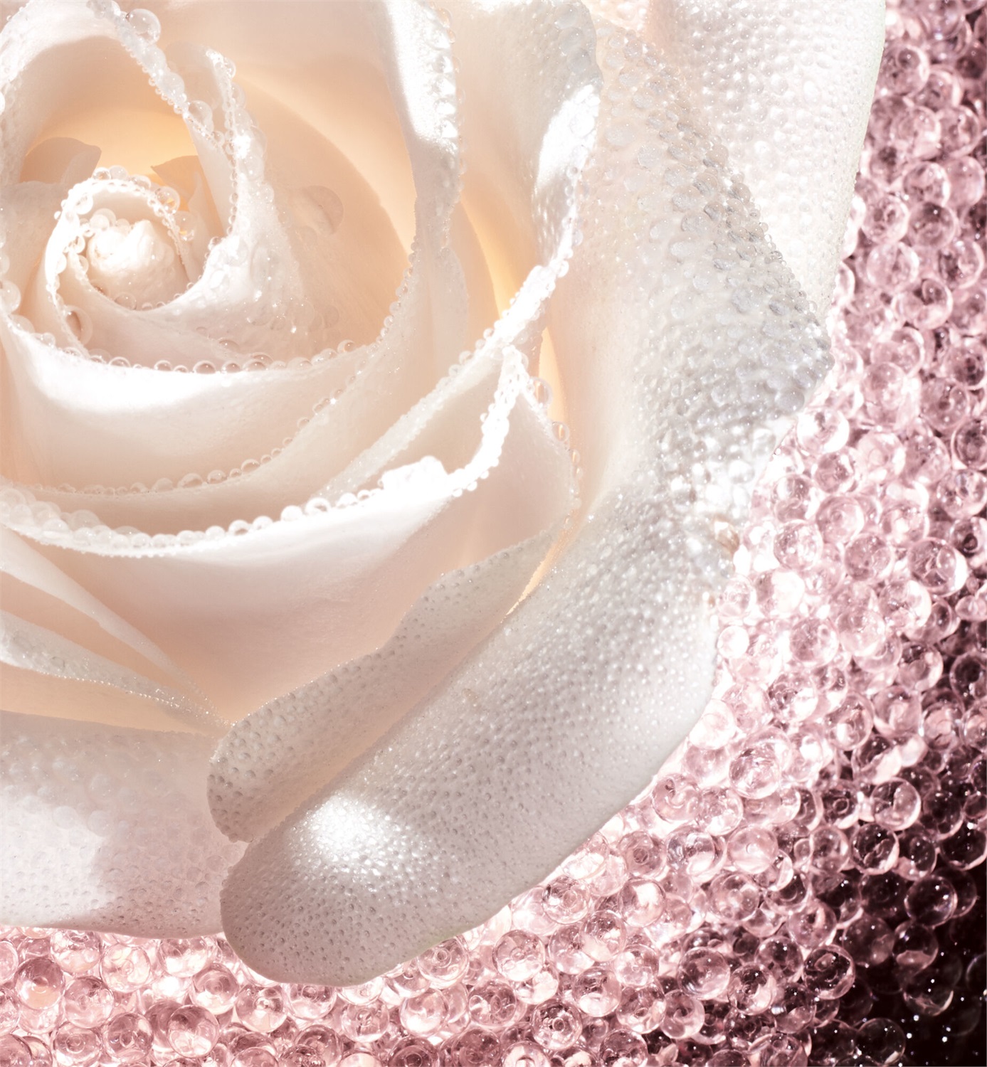 Dior Prestige Le Micro-Caviar de Rose 75ml - Concentrato Micronutriente per Riparazione Cutanea con 22 Micronutrienti