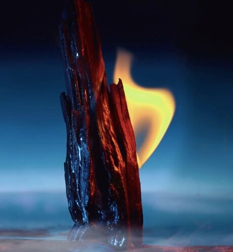 Dior Sauvage Parfum 100 ml - Eau de Parfum da Uomo, Fragranza Intensa e Ricaricabile con Note Agrumate e Ambrate