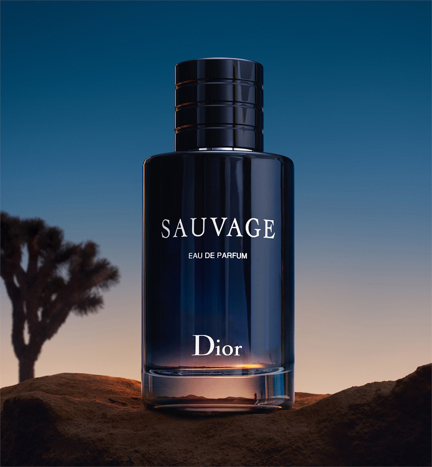 Dior Sauvage Eau de Parfum 30ml - Profumo da Uomo Ricaricabile con Bergamotto e Vaniglia