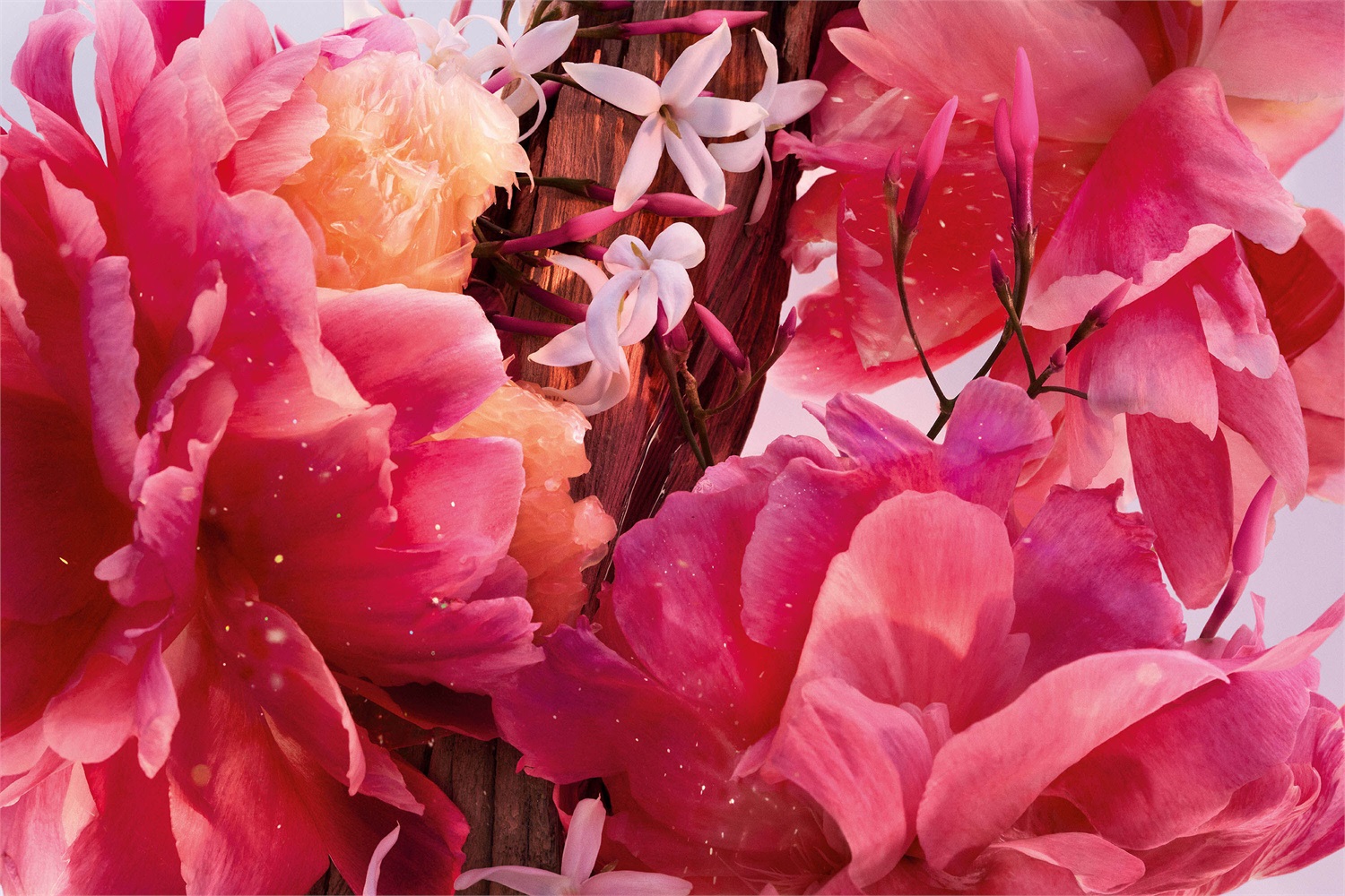 DIOR Miss Dior Parfum 35ml - Note Floreali, Fruttate e Legnose Intense