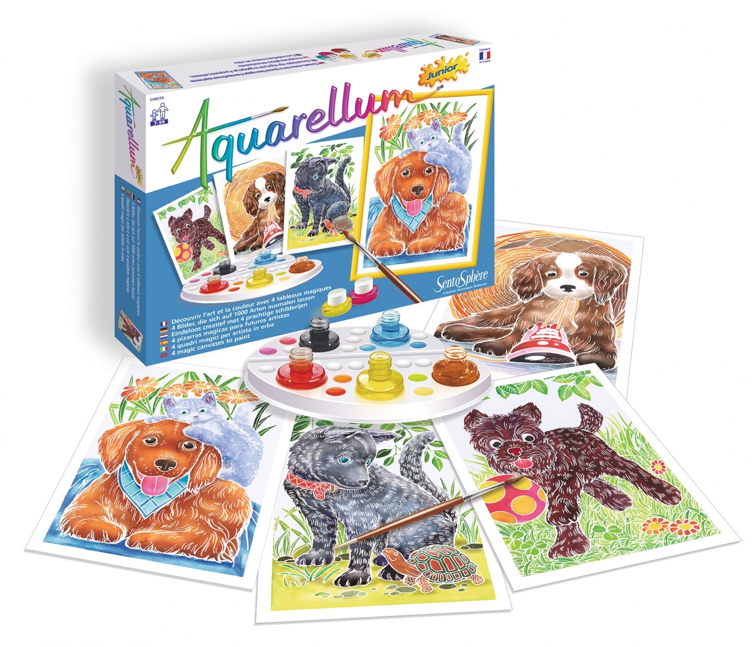 SentoSphere Aquarellum 698 Set da Disegno 13 Pz - Età 7 - Dimensioni 265x30x195 mm