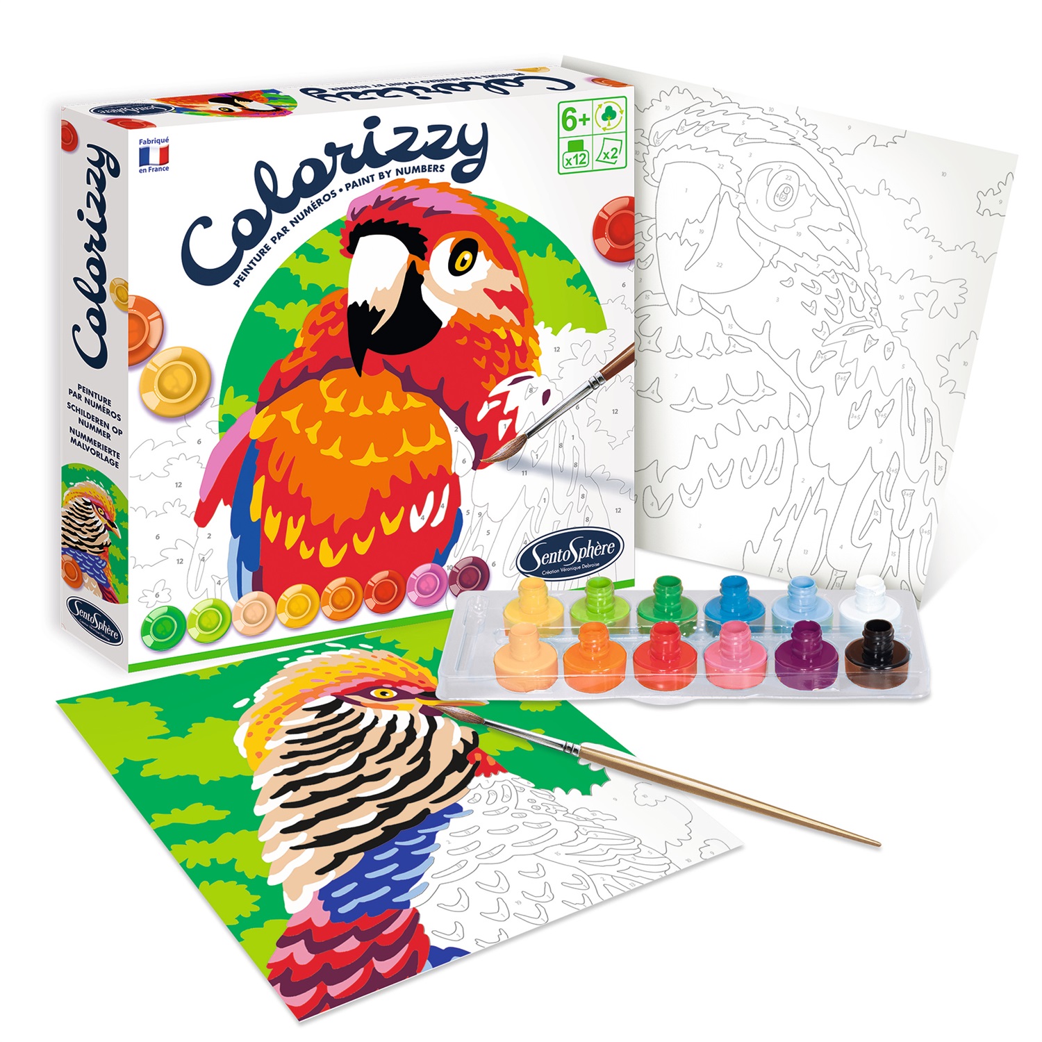 SentoSphere 4501 Set da Colorare Multicolore - Motivo Uccelli (Pappagallo) per Bambini, Pittura con i Numeri, Età 6