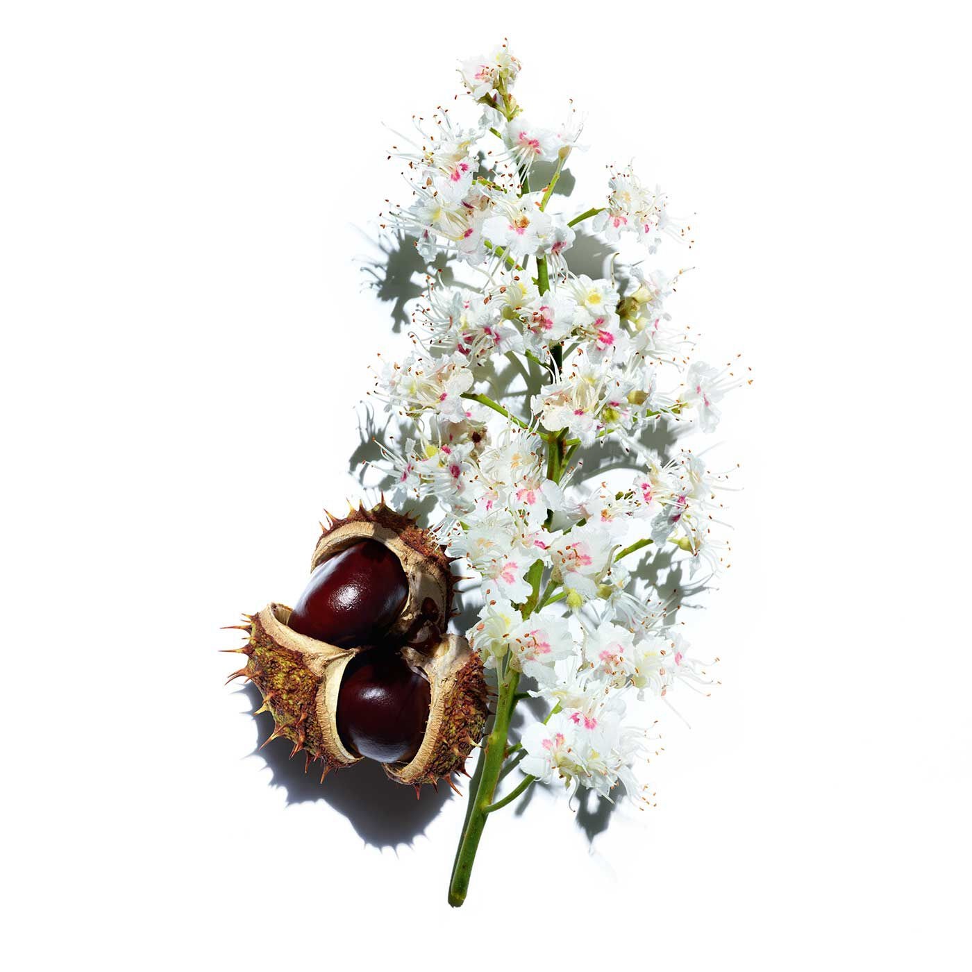 CLARINS Nutri-Lumière Lozione di Giovinezza Rinnovatrice 200 ml - Trattamento quotidiano per tutti i tipi di pelle