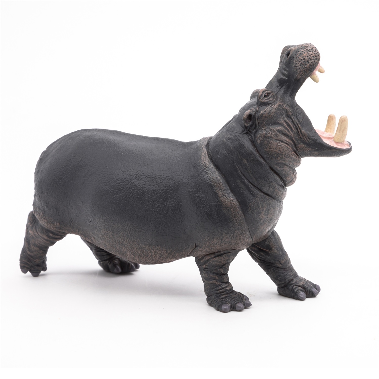 Papo Ippopotamo - Figura Realistica Dipinta a Mano per Bambini dai 3 Anni - Animale Selvaggio della Collezione La Vita Selvaggia - Plastica Resistente - 50051