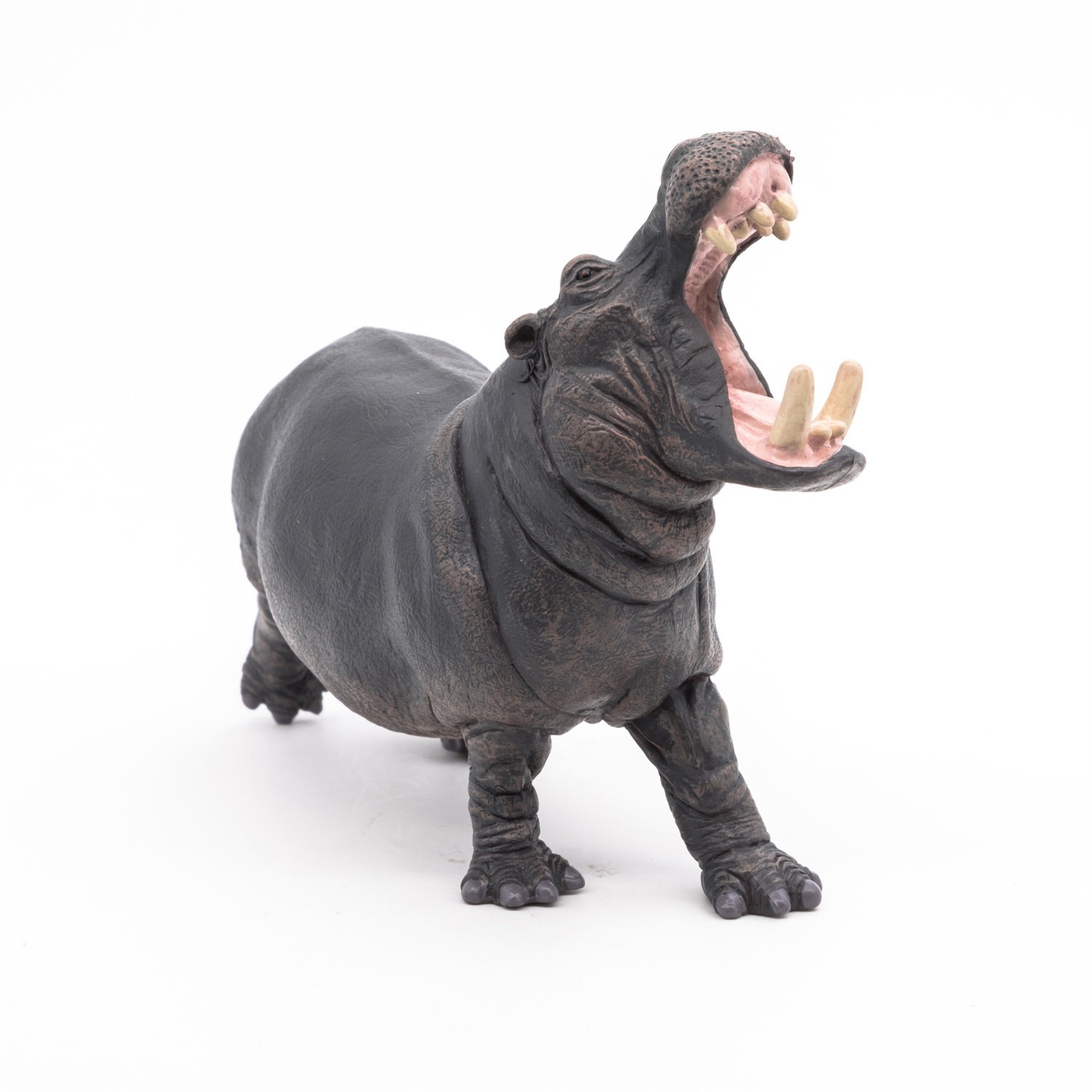 Papo Ippopotamo - Figura Realistica Dipinta a Mano per Bambini dai 3 Anni - Animale Selvaggio della Collezione La Vita Selvaggia - Plastica Resistente - 50051
