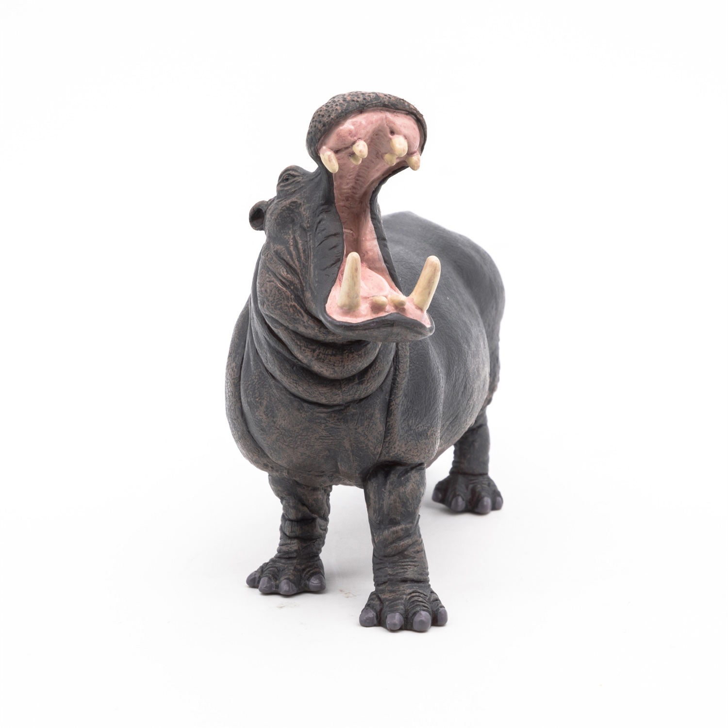 Papo Ippopotamo - Figura Realistica Dipinta a Mano per Bambini dai 3 Anni - Animale Selvaggio della Collezione La Vita Selvaggia - Plastica Resistente - 50051