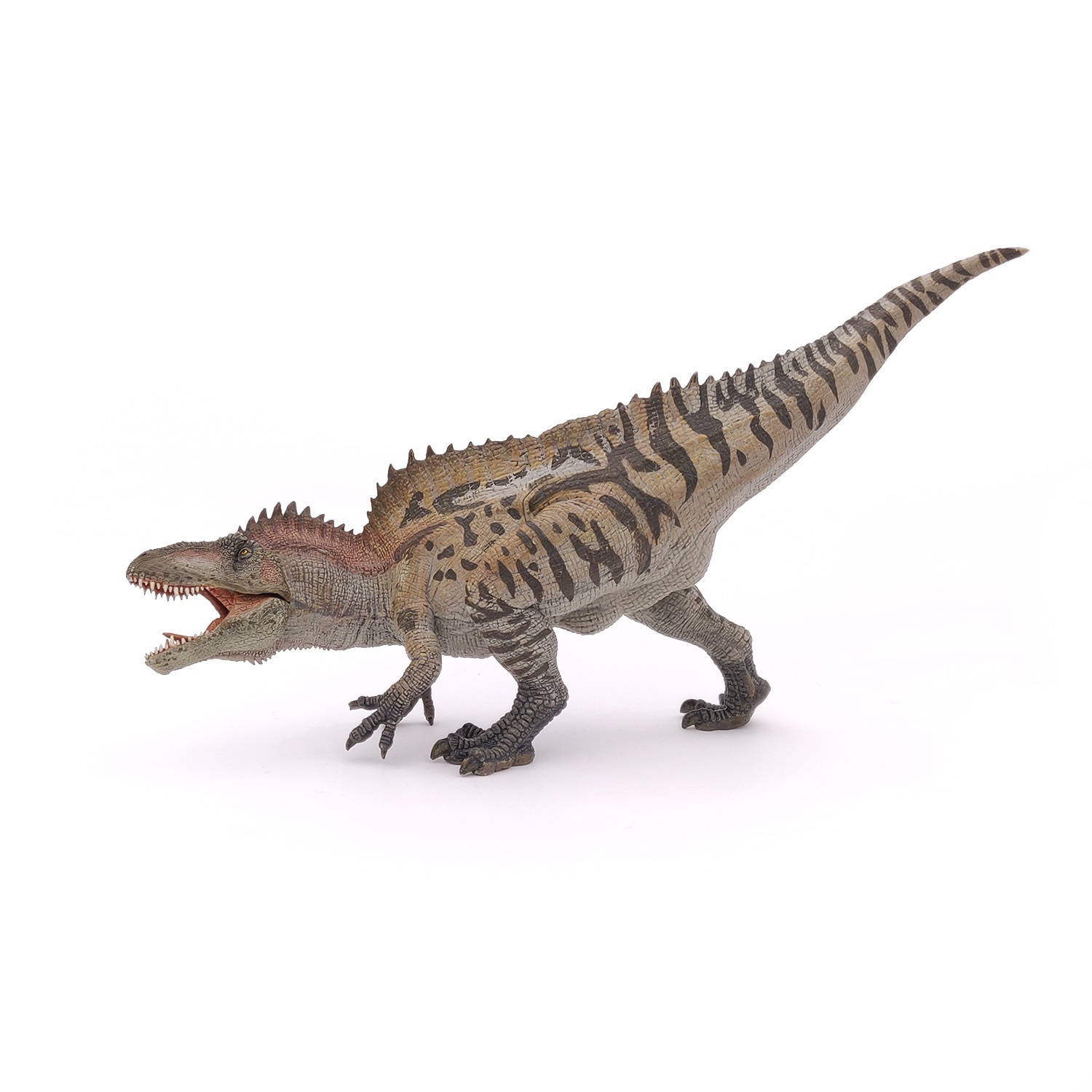 Papo 55062 Action Figure Acrocanthosaurus Beige-Marrone - Dinosauro Dipinto a Mano da Collezione