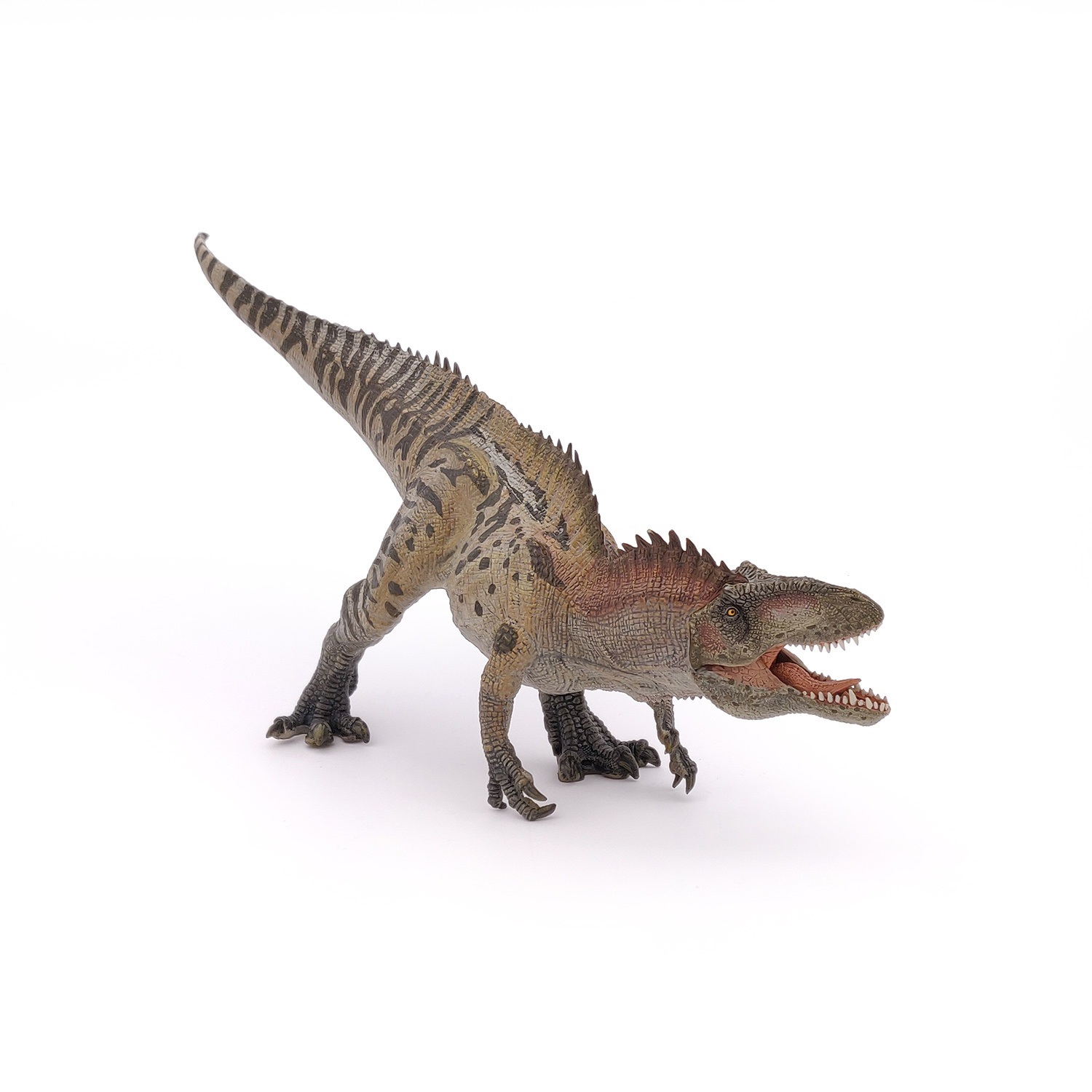 Papo 55062 Action Figure Acrocanthosaurus Beige-Marrone - Dinosauro Dipinto a Mano da Collezione
