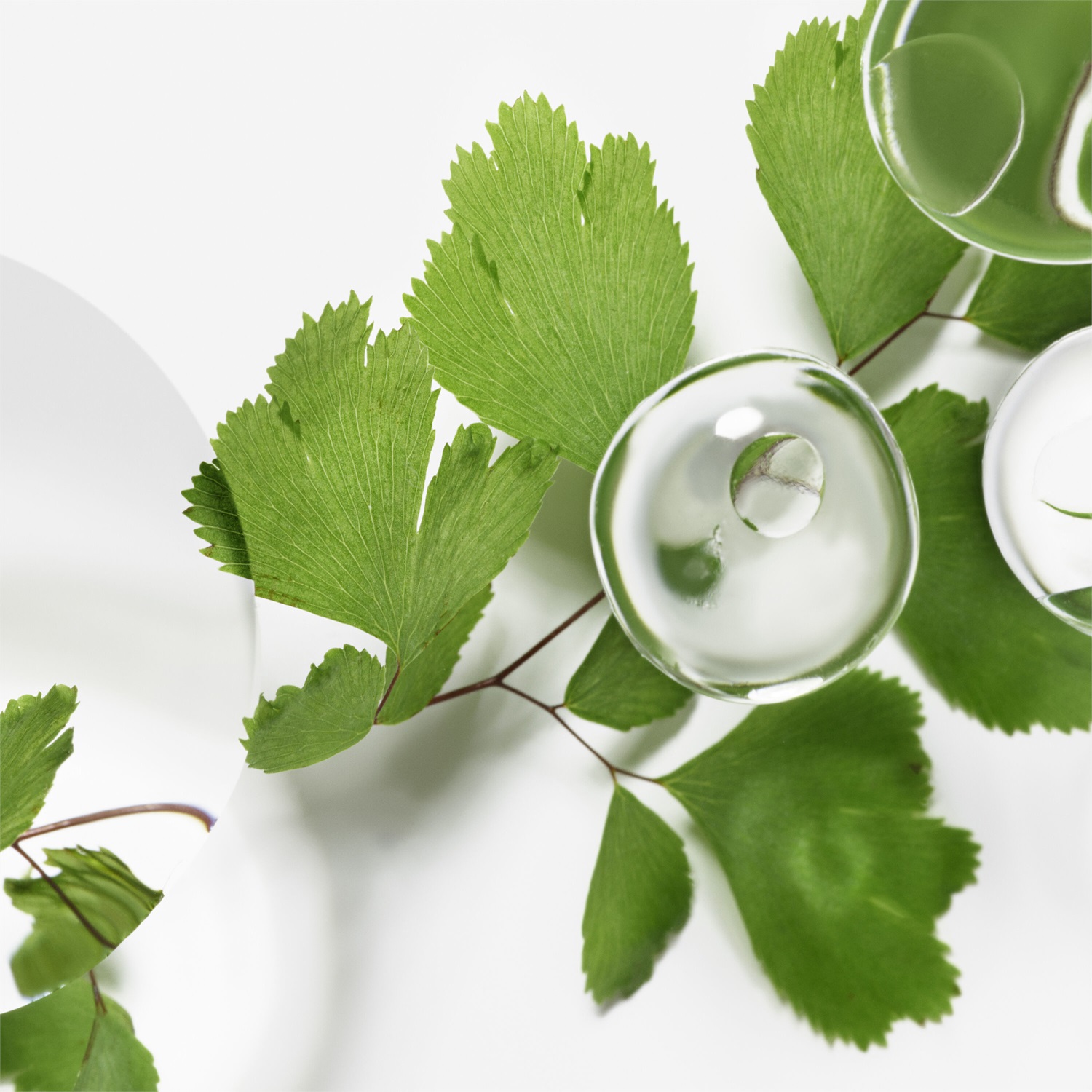 Sisley Emulsion Ecologique Formule Avancée 60 ml - Trattamento Universale Riequilibrante e Rivitalizzante per Tutti i Tipi di Pelle