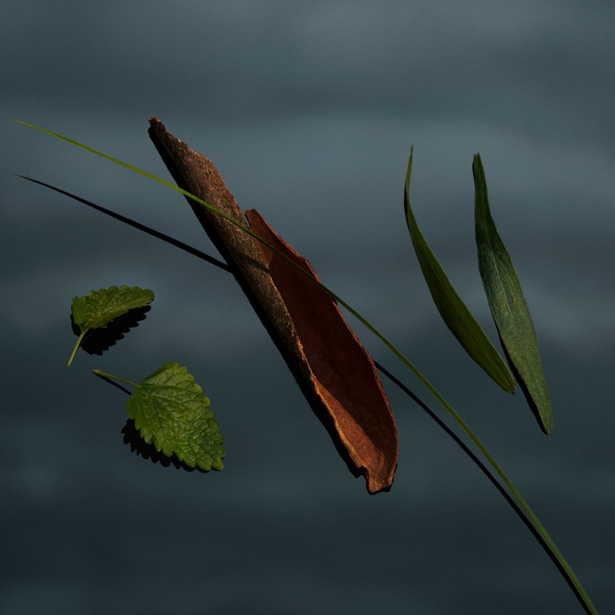 Burberry Mr. Burberry Eau de Parfum 50 ml - Fragranza Legnosa e Speziata per Uomo