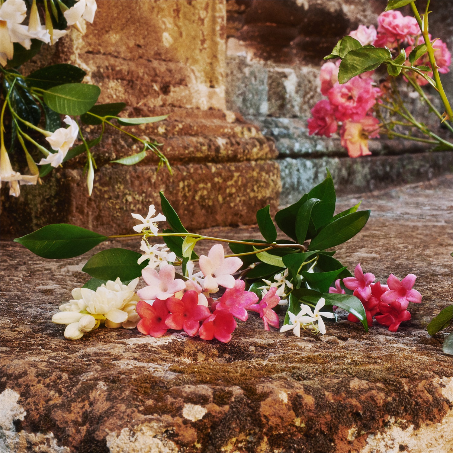 Gucci Bloom Eau de Toilette 30 ml - Fragranza Floreale per Donna con Note di Agrumi e Fiori Bianchi