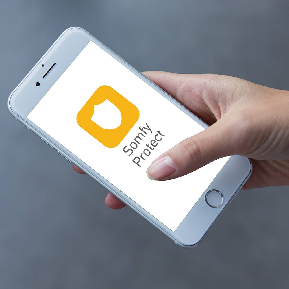 Somfy 2401491 Sirena Esterna Wireless con Allarme Antifurto da 112 dB e Lampeggiante Arancione