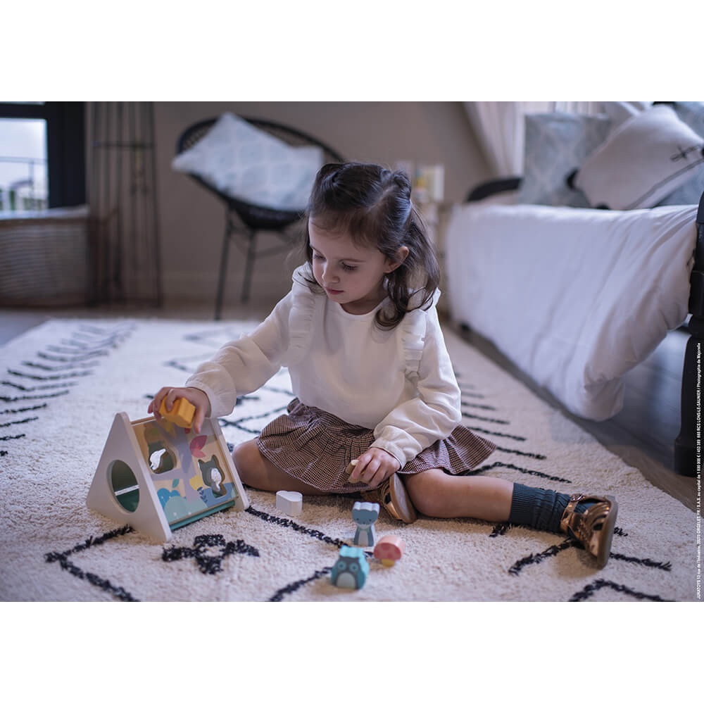 JANOD J05150 - Gioco a Incastro in Legno per Apprendimento Precoce, 6 Pezzi Inclusi, Da 18 Mesi in Su