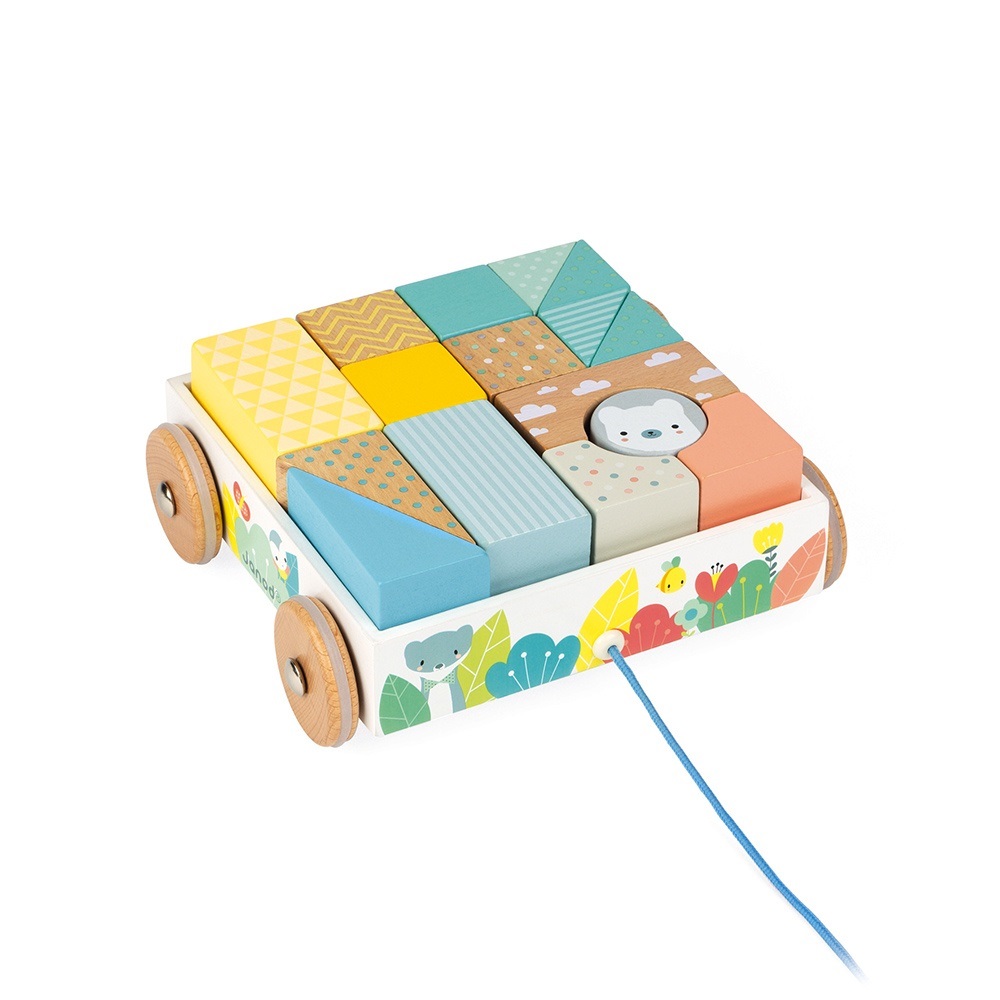 Janod Pure Carrello da Trainare con Cubi in Legno - Giocattolo per Apprendimento Precoce con 16 Blocchi Inclusi, Sviluppa la Motricità e le Abilità Manuali, Pittura Ad Acqua - Da 18 Mesi in su