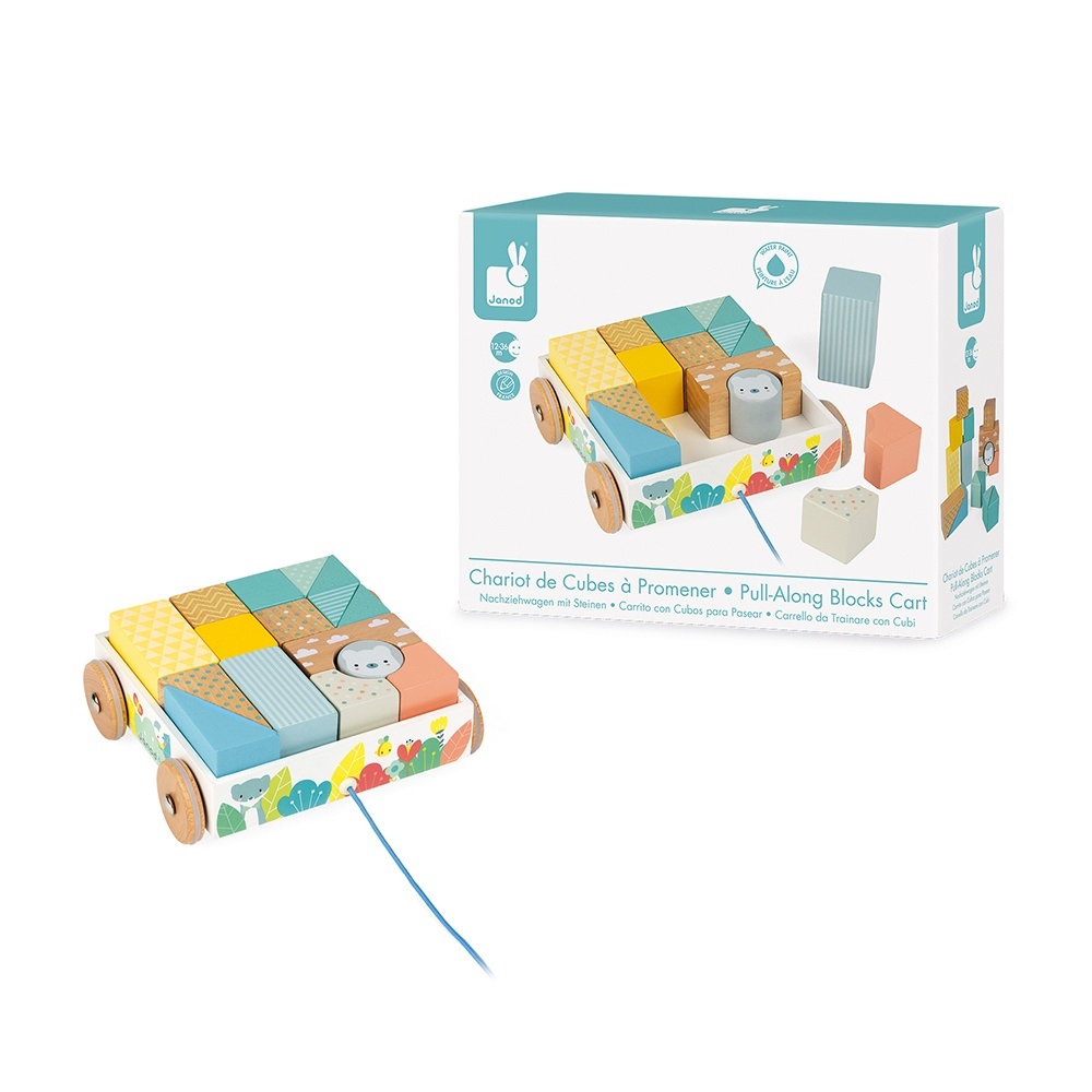 Janod Pure Carrello da Trainare con Cubi in Legno - Giocattolo per Apprendimento Precoce con 16 Blocchi Inclusi, Sviluppa la Motricità e le Abilità Manuali, Pittura Ad Acqua - Da 18 Mesi in su