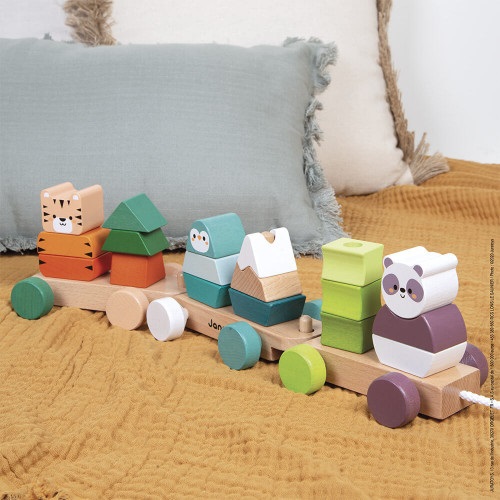 Janod Trenino di Legno La Gita Degli Animali - Gioco Didattico per Sviluppare la Motricità Fine e Imparare i Colori - Collaborazione con WWF - Certificato FSC - Da 12 Mesi a 5 Anni