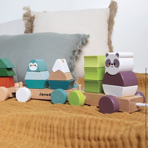 Janod Trenino di Legno La Gita Degli Animali - Gioco Didattico per Sviluppare la Motricità Fine e Imparare i Colori - Collaborazione con WWF - Certificato FSC - Da 12 Mesi a 5 Anni