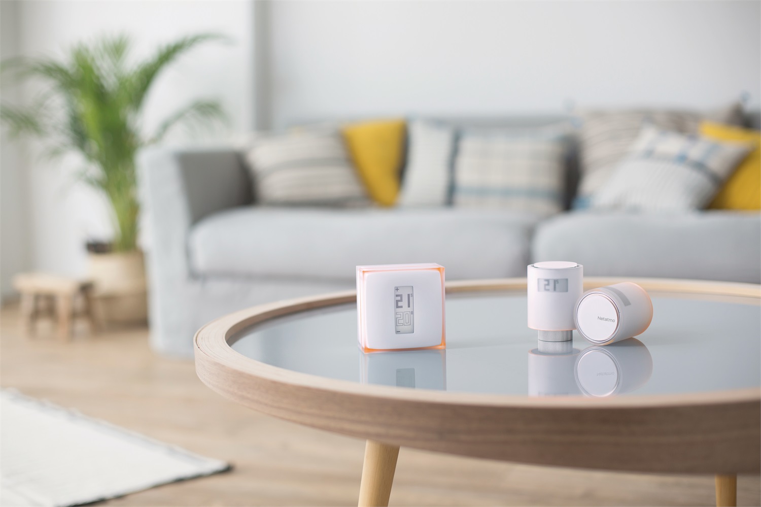 Netatmo Kit Termostato Intelligente con 3 Valvole Termostatiche Intelligenti - Controllo Remoto Wi-Fi, Risparmio Energetico e Compatibile con Riscaldamento Individuale