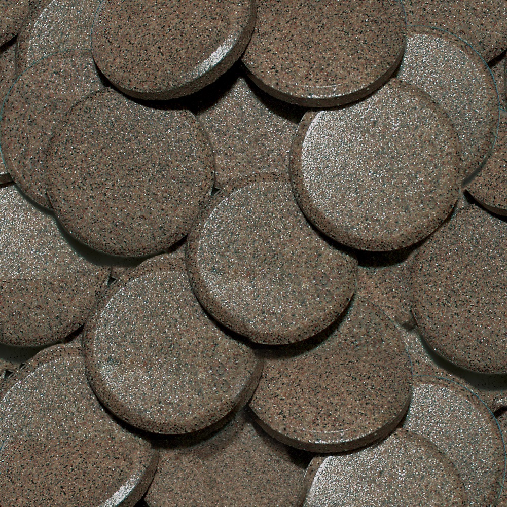 Sera Holiday - Mangime per pesci ornamentali in pastiglie adesive, 10 Tabs, ricco di proteine per alimentazione lenta