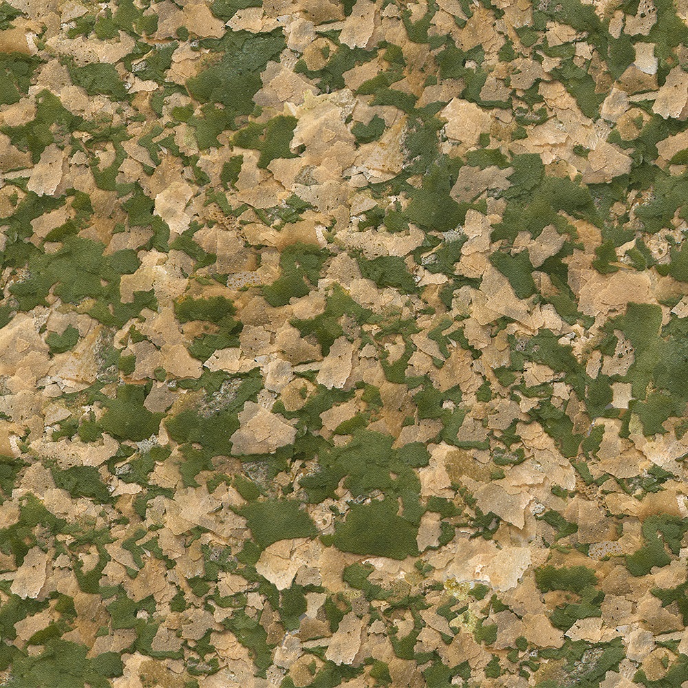 Sera Vipan Nature Mangime Completo per Pesci Ornamentali - 1000 ml (210 g) - Scaglie Galleggianti, Senza Coloranti e Conservanti, con Farina di Insetti