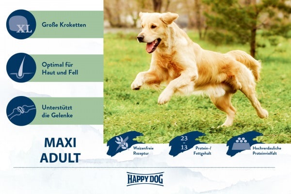 Happy Dog Supreme Fit & Vital Maxi Adult - Crocchette per Cani di Grossa Taglia - 14 kg - Dieta Equilibrata e Alta Digeribilità