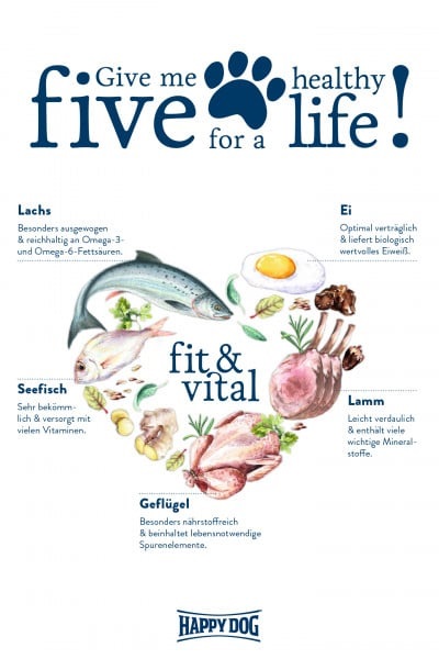 Happy Dog Supreme Fit & Vital Maxi Adult - Crocchette per Cani di Grossa Taglia - 14 kg - Dieta Equilibrata e Alta Digeribilità