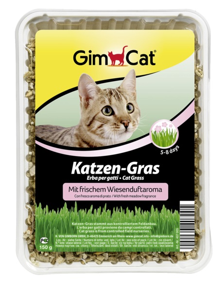 GimCat Erba per Gatti con Semi di Orzo Naturale - 150 g, Aroma di Prato, Aiuta a Espellere il Pelo Ingerito