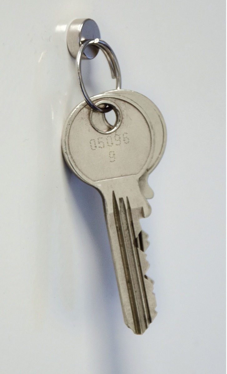 MAUL 6166396 Magnete Al Neodimio Ø 10 mm x H 3 mm, Nickel - Disco Magnetico con Forza di Attrazione 2,0 kg, Confezione da 50 pz