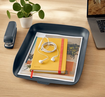 Leitz Vaschetta Portacorrispondenza Cosy A4 Grigio Velluto - Design Minimalista e Impilabile