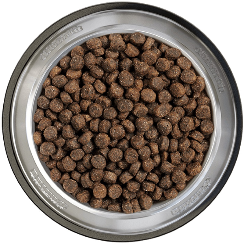 Belcando Finest GF Salmon 4 kg - Cibo secco per cani adulti di taglia piccola e media, senza cereali, con salmone