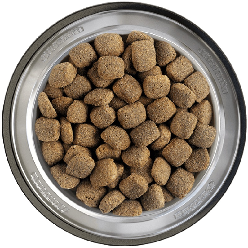 Belcando Junior Maxi 12,5 kg - Cibo secco per cuccioli di taglia grande, ricco di pollame e riso, alimento completo per cani giovani a partire da 4 mesi