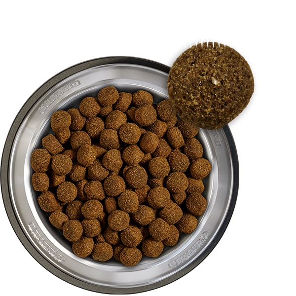 Belcando Baseline Buddy Cibo Secco per Cani Adulti 12,5 kg - Adatto a Tutte le Razze, Con Prebiotici per una Flora Intestinale Sana