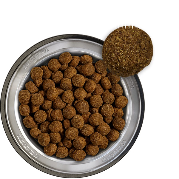 BELCANDO Baseline Ranger Cibo Secco per Cani Adulti 12,5 kg - Formula Senza Cereali con Manzo e Patate