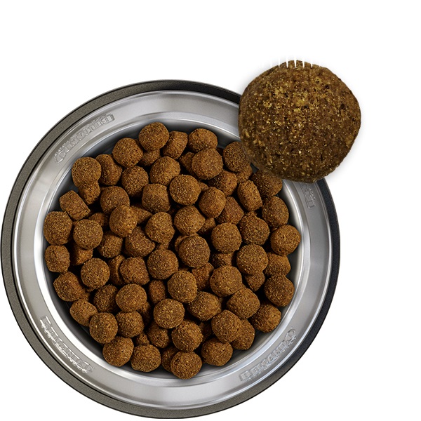 Belcando Baseline Fisher - Cibo secco per cani adulti, 12,5 kg, adatto a tutte le razze e con attività aumentata