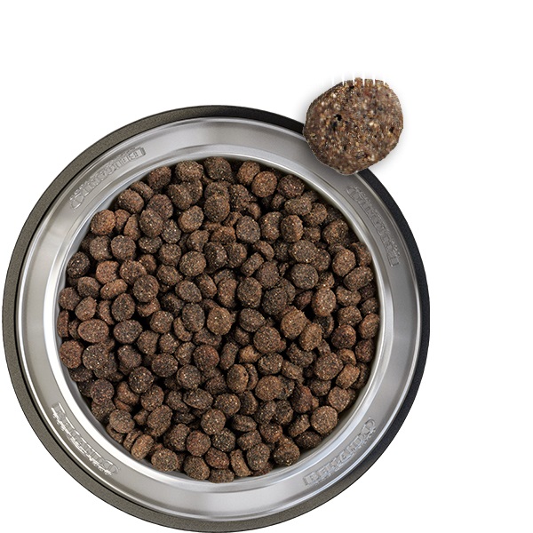 BELCANDO Baseline Explorer Cibo Secco per Cani Adulti 12,5 kg - Con Pesce, Senza Frumento e Glutine, Alta Qualità Made in Germany