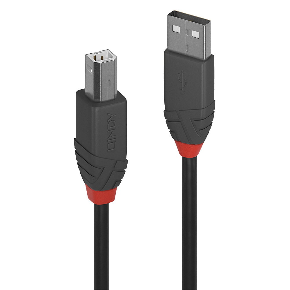 LINDY Cavo USB 2.0 Tipo A a Tipo B 3 Metri - Velocità Fino a 480Mbps, Involucro PVC, Connettori Nichel e Contatti Placcati Oro