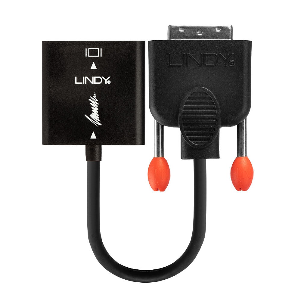 Lindy 38189 Adattatore DVI-D a VGA, Nero - Lunghezza 10 cm, Risoluzione fino a 1920 x 1200
