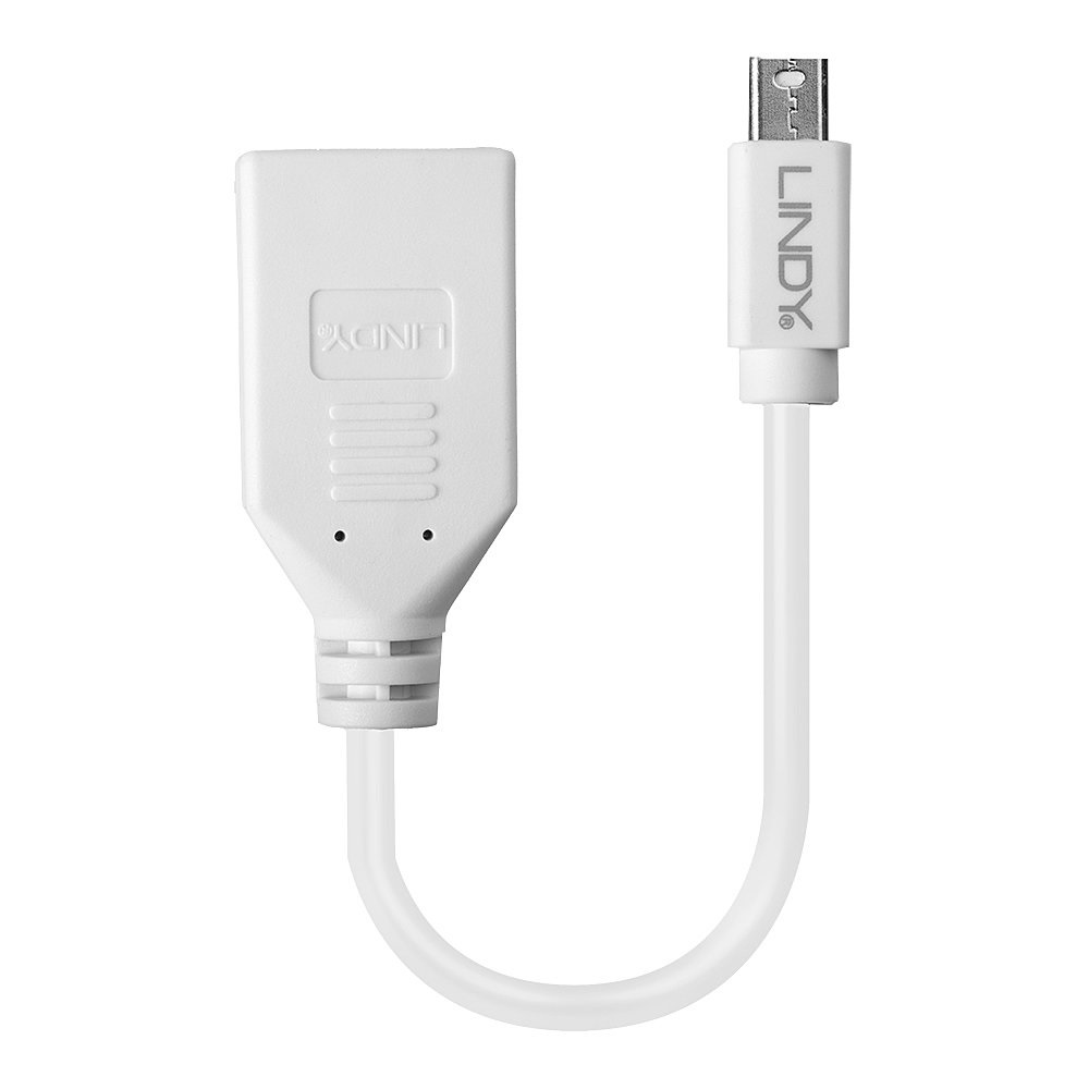 Lindy 41021 Cavo/Adattatore Mini DisplayPort Maschio a DisplayPort Femmina 0,15 m Bianco