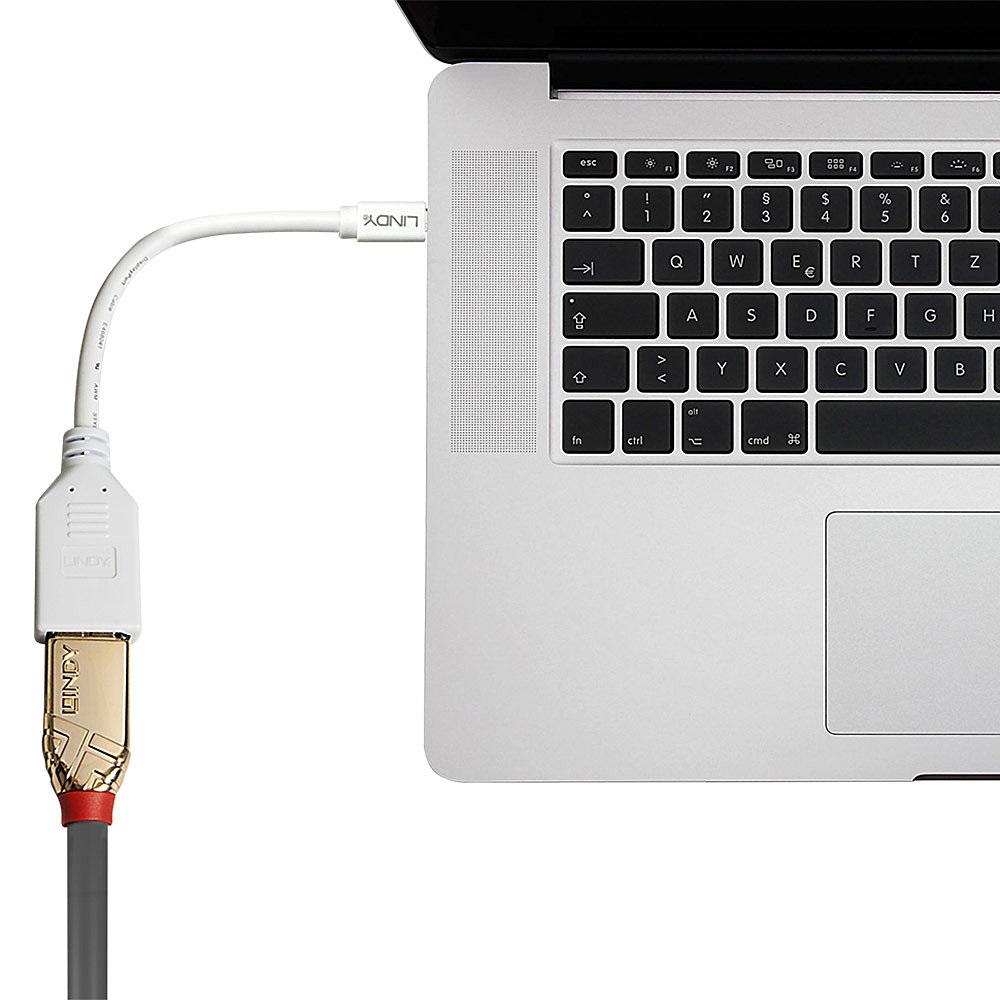Lindy 41021 Cavo/Adattatore Mini DisplayPort Maschio a DisplayPort Femmina 0,15 m Bianco